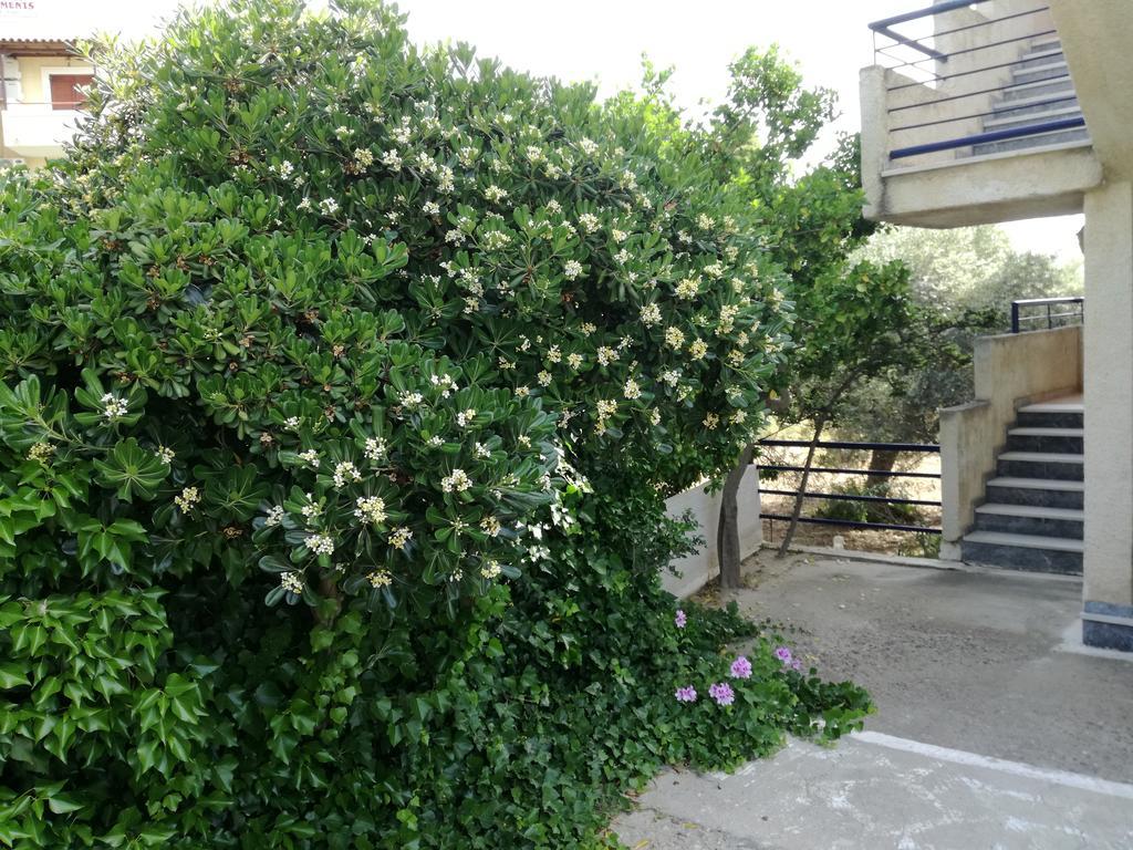 伯里克利公寓 Agia Marina  外观 照片